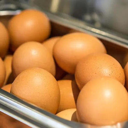 فندق إمباير لشبونة